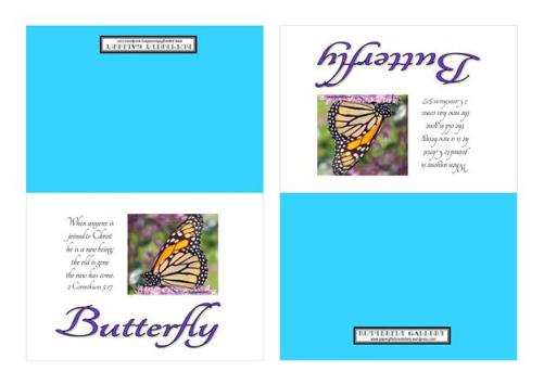 Butterfly Notecards A4
