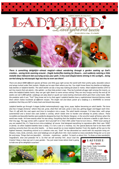 FREE Ladybug article for kids; free printable