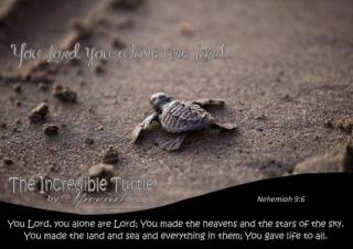 FREE printable Turtle Poster with Bible Verse