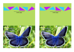 FREE Bible note cards with Bible verse from Psalm 148:5; blue butterfly on lime green background; free printable
