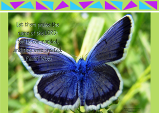 FREE Bible poster with Bible verse from Psalm 148:5; blue butterfly on lime green background; free printable
