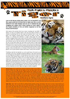 Tiger Article for kids; free printable