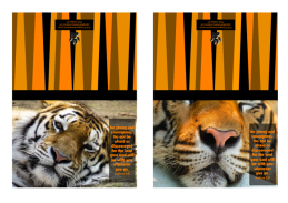 FREE Bible note cards with tiger photos and Bible verse from Joshua 1:9 on striped orange/black background; free printable