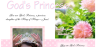 PGFE Princess of the King / God's Princess FREE Article for kids; free printable