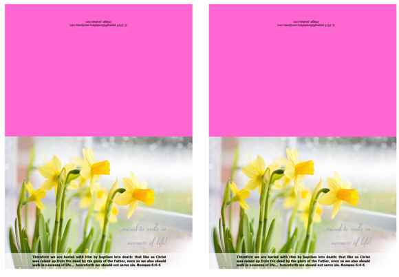 FREE Daffodil Note Cards with Bible verses from Romans 6:4-6; free printable