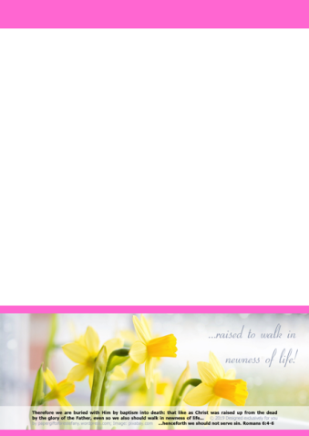 FREE Daffodil Stationery with Bible verses from Romans 6:4-6; free printable