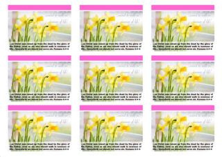 FREE Daffodil Wallet Cards with Bible verses from Romans 6:4-6; free printable