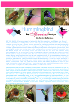 FREE Hummingbird article for kids giving glory to God as Creator; free printable