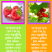 FREE Fruit of the Spirit Bible bookmarks; Galatians 5:22-23; strawberries on lime green background with bright pink border; round red berries on orange background with purple border; pink, purple and white text; free printable