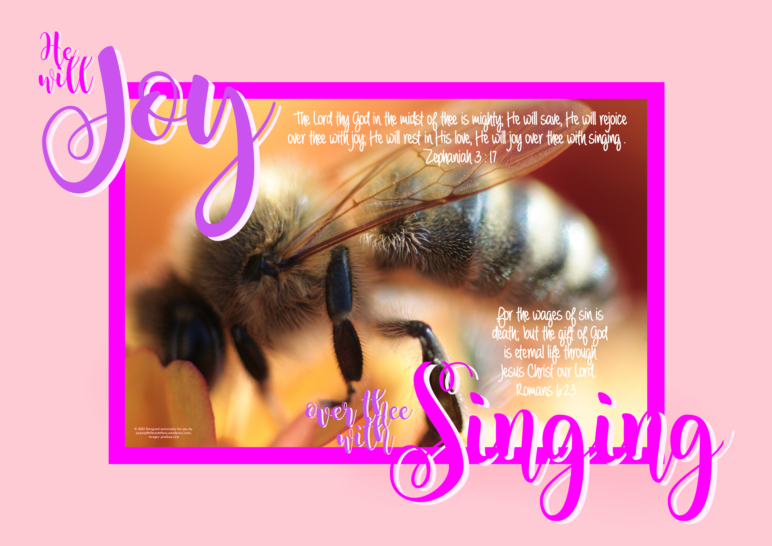FREE Bee poster with Bible verses from Zephaniah 3:17 and Romans 6:23; macro bee photo, apricot and bright pink background with bright pink and mauve text; free printable
