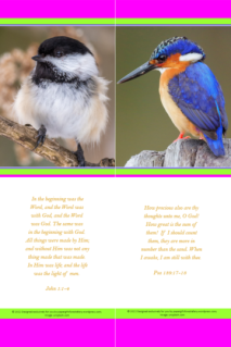 FREE Bird bookmark with Bible verse from John 1:1-4; FREE Kingfisher bookmark with Bible verses from Psalm 139:17-18; bright pink, lime, white background; free printable