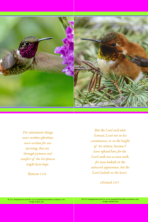 FREE Hummingbird bookmarks with Bible verses from Romans 15:4 and 1 Samuel 16:7; bright pink, lime, white background; free printable