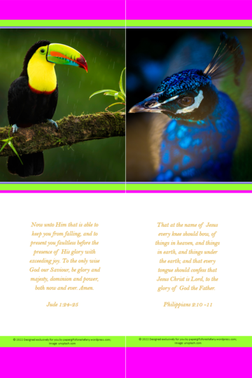FREE Toucan bookmark with Bible verses from Jude 1:24-25; FREE Peacock bookmark with Bible verses from Philippians 2:10-11; bright pink, lime, white background; free printable