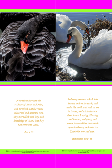 FREE Swan bookmarks with Bible verses from Acts 4:13 and Revelation 5:12-13; bright pink, lime, white background; free printable