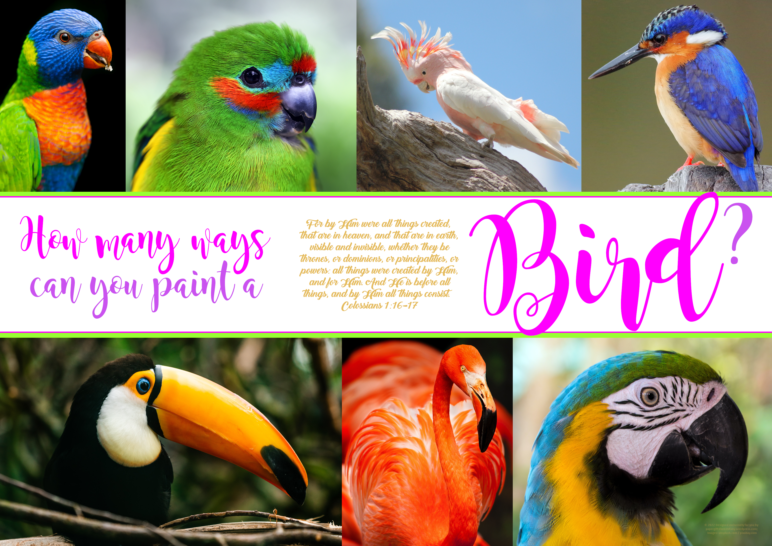 FREE Birds poster with a collage of different birds (lorrikeet, fig parrot, cockatoo, kingfisher, toucan, flamingo, macaw) and Bible verse from Colossians 1:16-17; free printable