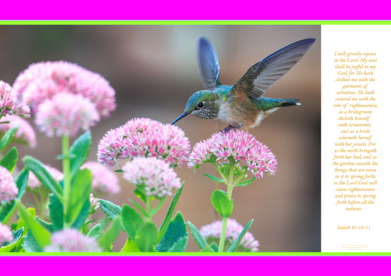 FREE Hummingbird poster with Bible verses from Isaiah 61:10-11; bright pink, lime, white background; free printable