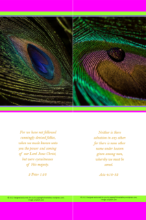 FREE Peacock Feather bookmarks with Bible verses from 2 Peter 1:16 and Acts 4:10-12; bright pink, lime, white background; free printable