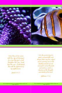 FREE Coral Reef bookmarks with Bible verses from Isaiah 41:10 and Hebrews 4:12; bright pink, lime, white background; free printable