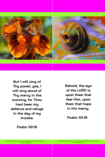FREE Frilled Neck Lizard and Chameleon bookmarks with Bible verses from Psalm 59:16 and Psalm 33:18; bright pink, lime, white background; free printable