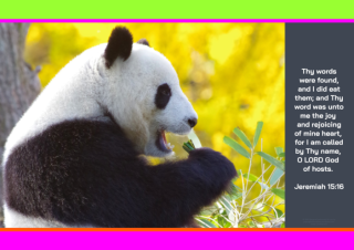 FREE Panda poster with Bible verse from Jeremiah 15:16; bright pink, lime, orange, dark grey background; free printable