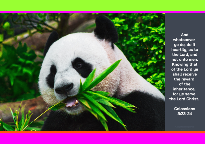 FREE Panda poster with Bible verse from Colossians 3:23-24; bright pink, lime, orange, dark grey background; free printable