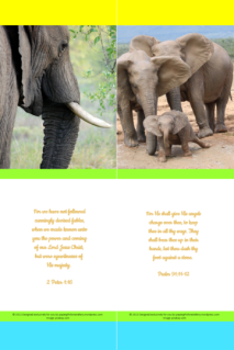 FREE Elephant bookmarks with Bible verses from 2 Peter 1:16 and Psalm 91:11-12; blue, lime, yellow and white background; free printable