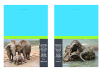 FREE Elephant note cards with Bible verses from Psalm 91:11-12 and 1 Peter 1:7-8; blue, lime and dark grey background; free printable
