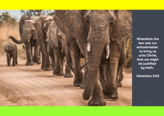 FREE Elephant poster with Bible verse from Galatians 3:24; lime, yellow and dark grey background; free printable