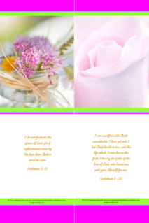 FREE Flower bookmark with Bible verses from Galatians 2:20-21; bright pink, lime, white background; free printable