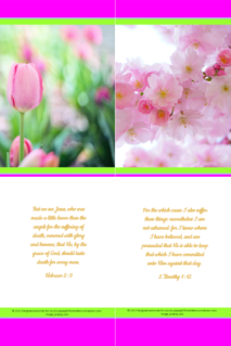 FREE Flower bookmark with Bible verses from Hebrews 2:9 and 2 Timothy 1:12; bright pink, lime, white background; free printable