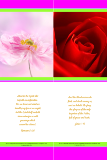 FREE Flower bookmark with Bible verses from Romans 8:26 and John 1:14; bright pink, lime, white background; free printable
