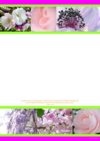 FREE Flower stationery with Bible verse from 1 Peter 1:24-25; bright pink, lime, white background; free printable