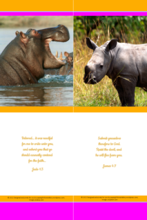 FREE Safari bookmark - hippo and rhino - with Bible verses from Jude 1:3 and James 4:7; bright pink, orange and white background; free printable