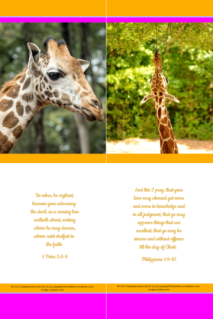 FREE Safari bookmarks - giraffe - with Bible verses from Philippians 1:9-10 and 1 Peter 5:8-9; bright pink, orange and white background; free printable