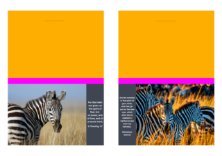 FREE Safari stationery - zebra - with Bible verses from 2 Timothy 1:7 and Ephesians 4:23-24; bright pink and orange background; free printable