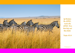 FREE Safari poster - zebra - with Bible verse from Psalm 115:11; bright pink, orange and white background; free printable