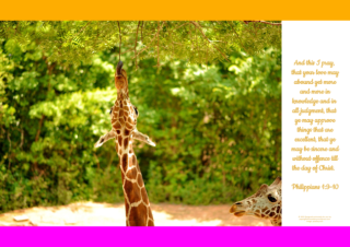 FREE Safari poster - giraffe - with Bible verses from Philippians 1:9-10; bright pink, orange and white background; free printable
