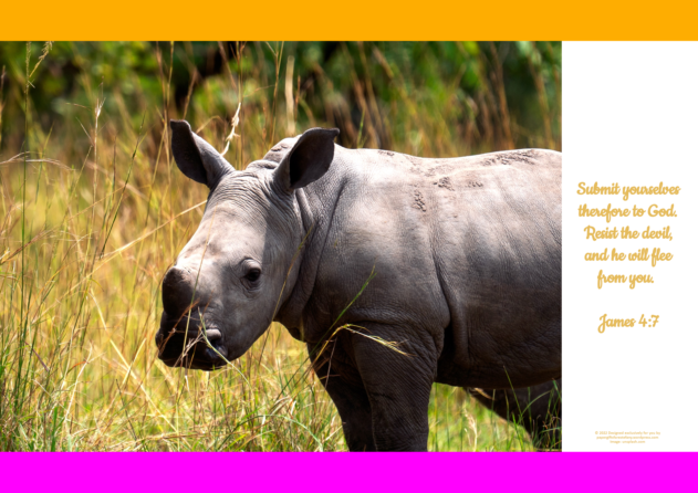 FREE Safari poster - rhino - with Bible verse from James 4:7; bright pink, orange and white background; free printable