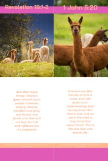 Farm Animals bookmarks (alpaca) with Bible verses from Revelation 19:1-2 and 1 John 5:20; pink, apricot and white background; free printable