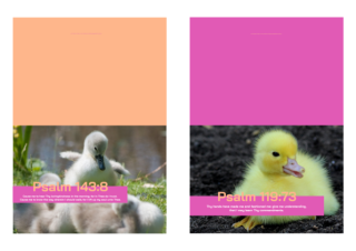 Farm Animals note cards (ducklings) with Bible verses from Psalm 143:8 and Psalm 119:73; pink and apricot background; free printable