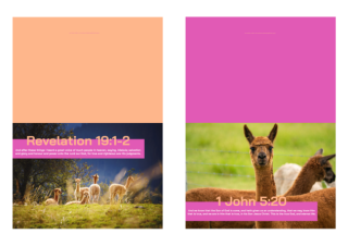Farm Animals note cards (alpaca) with Bible verses from Revelation 19:1-2 and 1 John 5:20; pink and apricot background; free printable
