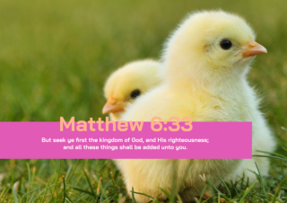 Farm Animals poster (chicks) with Bible verse from Matthew 6:33; free printable