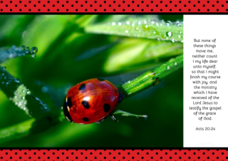 FREE Ladybug Bible poster with Bible verse from Acts 20:24; red polka dot, black and white background; free printable