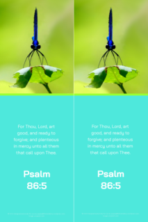 FREE Dragonfly (Damselfly) bookmark with Bible verse from Psalm 86:5; teal and lime background; free printable