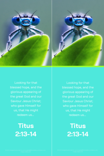 FREE Dragonfly bookmark with Bible verse from Titus 2:13-14; teal and lime background; free printable