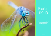 FREE Dragonfly Bible poster with Bible verse from Psalm 119:18; teal and lime background; free printable