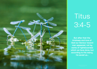 FREE Dragonfly Bible poster with Bible verse from Titus 3:4-5; teal and lime background; free printable