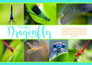 FREE Dragonfly & Damselfly Collage Bible poster with Bible verse from Hebrews 13:20-21; teal and lime background; free printable