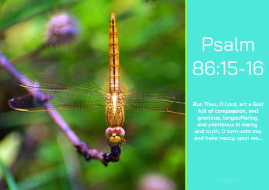FREE Dragonfly Bible poster with Bible verse from Psalm 86:15-16; teal and lime background; free printable