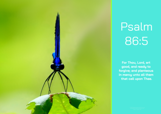 FREE Dragonfly (Damselfly) Bible poster with Bible verse from Psalm 86:5; teal and lime background; free printable